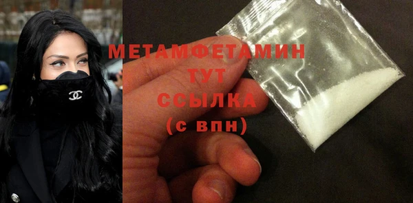 гидра Тавда