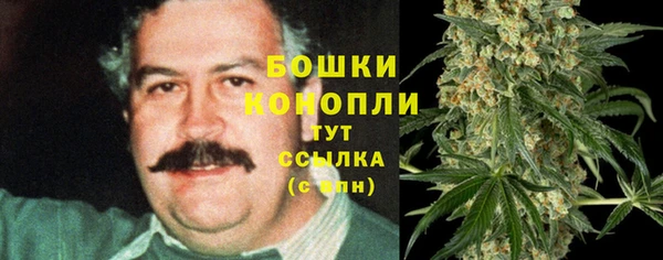 тгк Бронницы