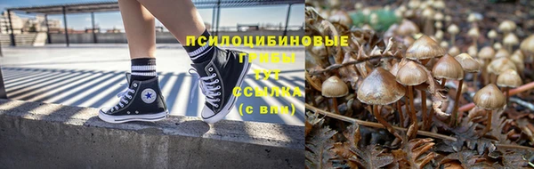 скорость Бородино