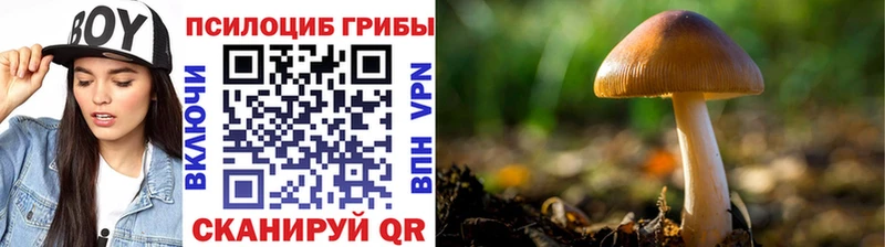 Псилоцибиновые грибы прущие грибы  где купить   гидра зеркало  Семёнов 